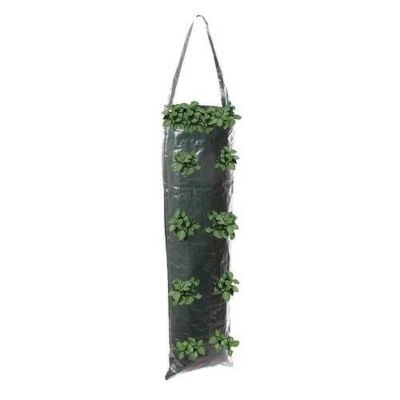 Erdbeer-Pflanzsack 30x35 Cm – 7 Gallonen Mit 6 L? Produktbild-Vorschau 5