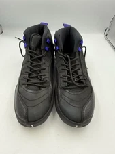 Jordan 12 Dark Concord Size 9.5 CT8013-005
