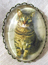 XL GLASS DOME PICTURE BUTTON PATIENTLY "WAITING" GREEN-EYED TABBY CAT   1-1/2 in