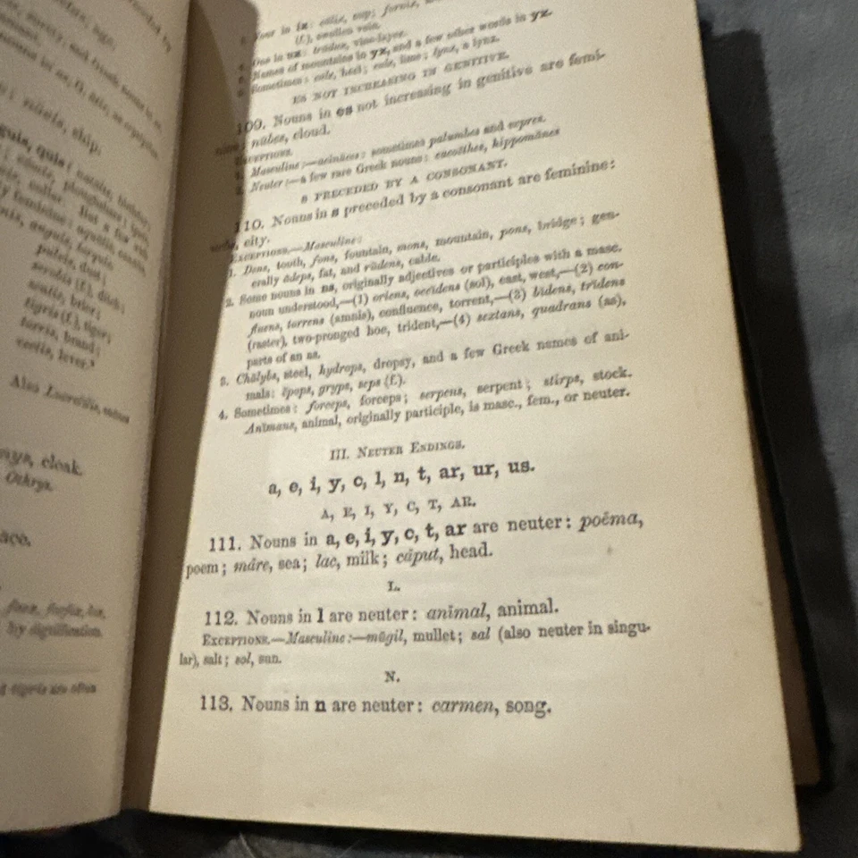A Latin Grammar For Schools And Colleges 1871 Appleton And Company - Image 3 of 4