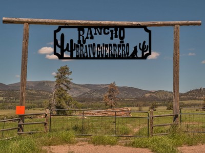 Large Entrance/Gate Ranch Sign with Cacti and a Howling Wolf, Personalized,Cacti