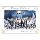 Cat Themed Christmas Card - Merry Christmas from the Cat - Animal Charity Sale