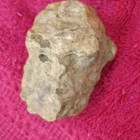 Indian Rockart — photo 2