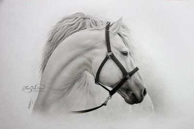 Portrait of a Realistic white Horse with Pencil&Drybrush - Original Print