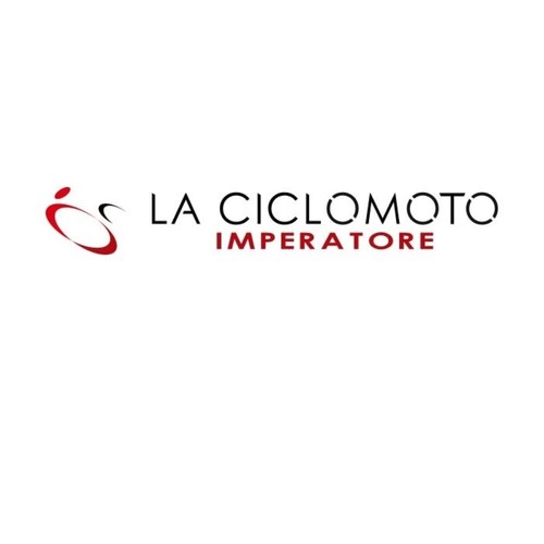 PIAGGIO LIBERTY 50 2T HALBRIEMENSCHEIBE POLINI 244.110 - Bild 3 von 7
