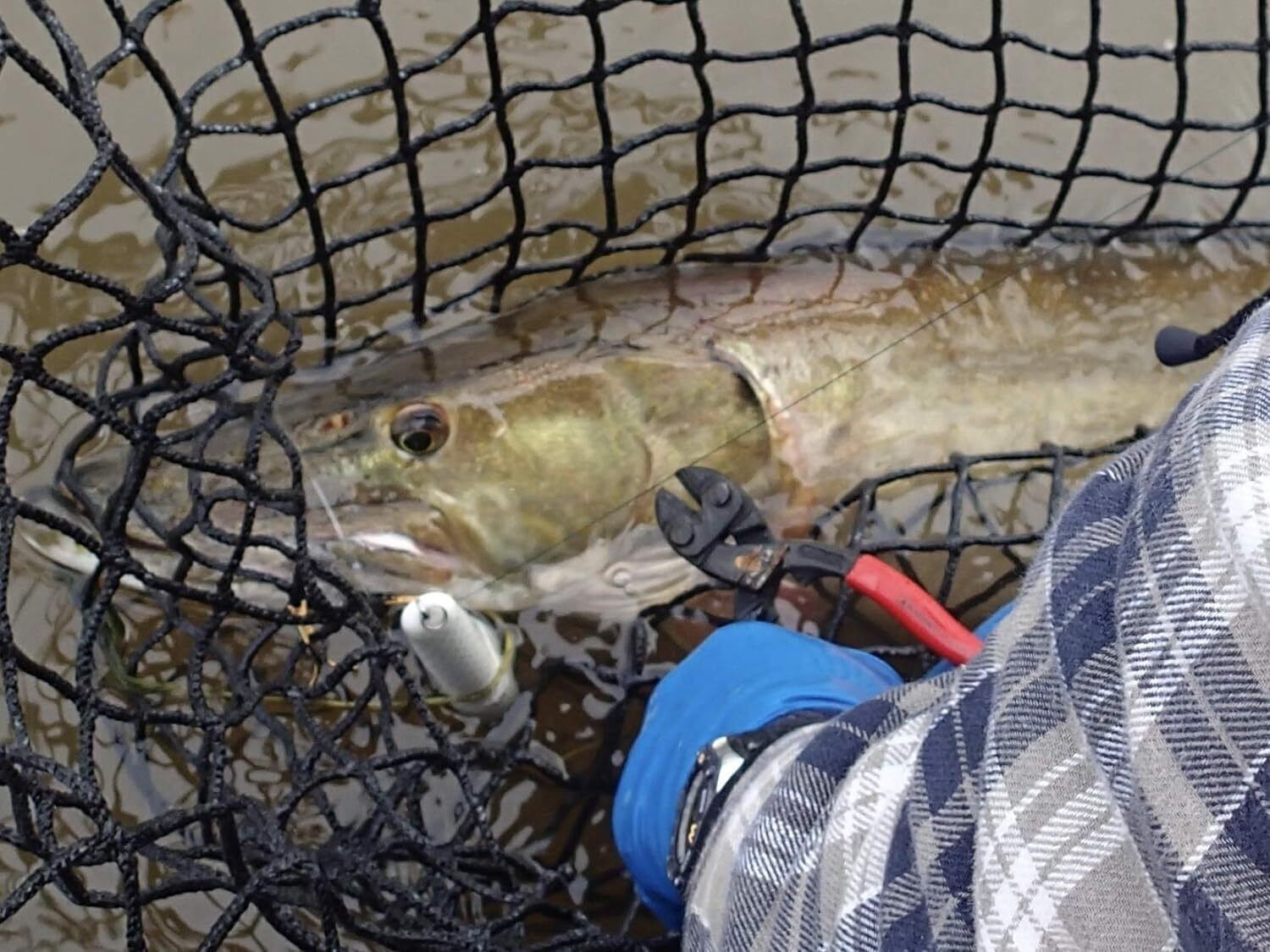 CoBolt Compact Bolt Cutter 8-Inch Alloy Steel Hand Tools Workshop Cutting NEW