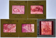 5 Vincent van Gogh 35mm Slides (5), Vintage, Post-Impressionism