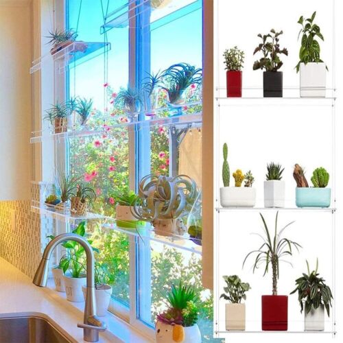 2/3 Tiers Acrylic Wall Hanging Window Plant Shelves Plant Stand Storage Holder - Picture 2 of 12