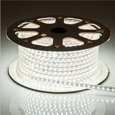 100M 12V 2835 120LED/M IP67 Waterproof Underwater Flexible Rope LED Strip Light