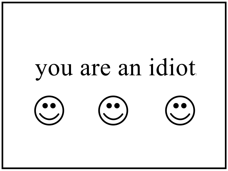 you are an idiot  traducida al español 