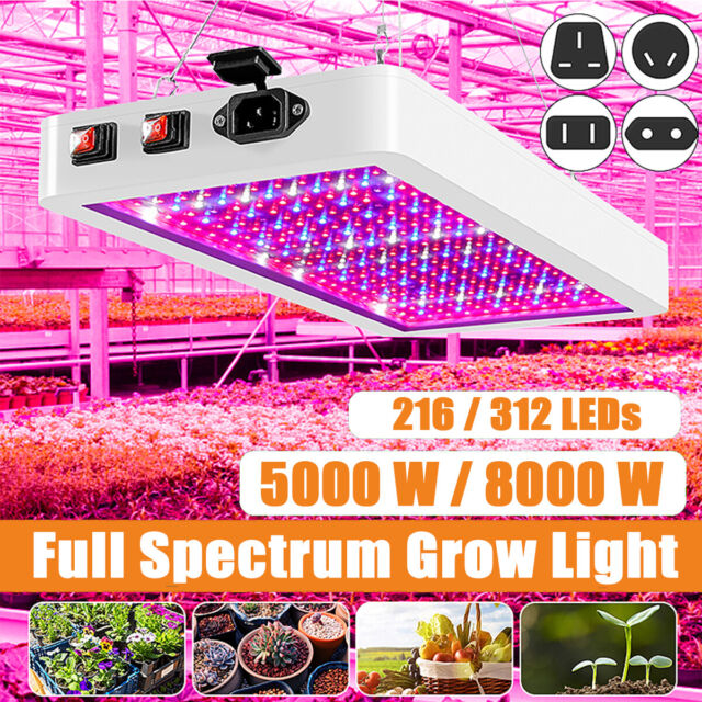 LED Grow Light 5000W/8000W Hydroponic Full Spectrum Veg Flower Plant Lamp Pane