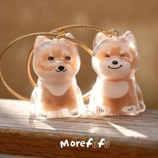 Clear Dog Hair Storage Box Pendant Collect Pets Hair Storage Capsule Commemorate