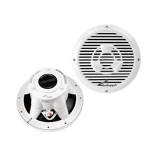 Audiopipe APSW-8032T 8 Coaxial Marine Speaker