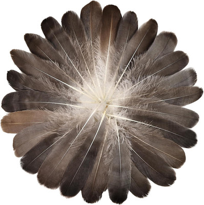 120Pcs Natural Gray Goose Feathers 6-8 Inch 15-20Cm Decorative Goose Nagoire Fea
