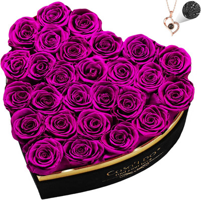 Preserved Roses Flowers for Delivery 27 Pcs, Forever Flores in Heart Box with Ne