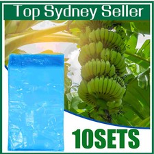 10Pcs Banana Bunch Bag Protection Ripening Cover- Blue Film Cotton with Hole AU