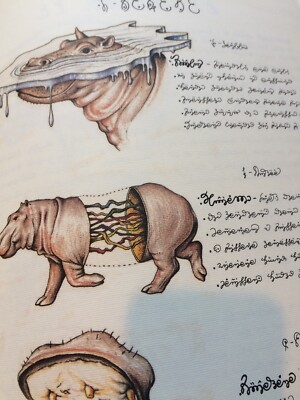 Luigi Serafini Print from Codex Seraphinianus 97 13