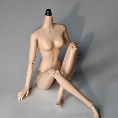 Nuevo Cuerpo de Repuesto 1/6 Mujer Nuevas Articulaciones Cabeza de Muñeca Movible - Imagen 19 de 31