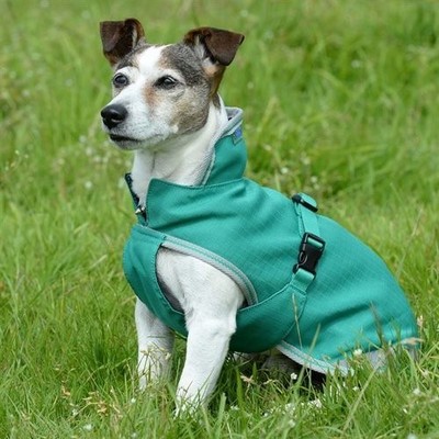 Bucas Hundemantel Freedom Dog Rug 300g - jade green (grün) - Gr.75cm UVP  47,00