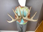 Matched Set Whitetail Deer Antlers Sheds 5x5 Wild Idaho Horns Decor