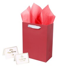 Premium Gift Bag With Tissue Boutique Paper Bag Handle Medium 9.8 Inch Red