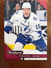 2017-18 UD Parkhurst Red Parallel SSP! #209 Ondreij Palat