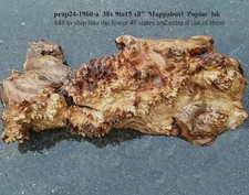 Poplar Burl Cap Turning Wood Craft Wood P24-1960