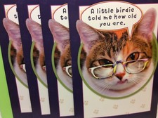 RSVP BIRTHDAY GREETING CARD New w/Envelopes LOT 4 "Little birdie told me how old