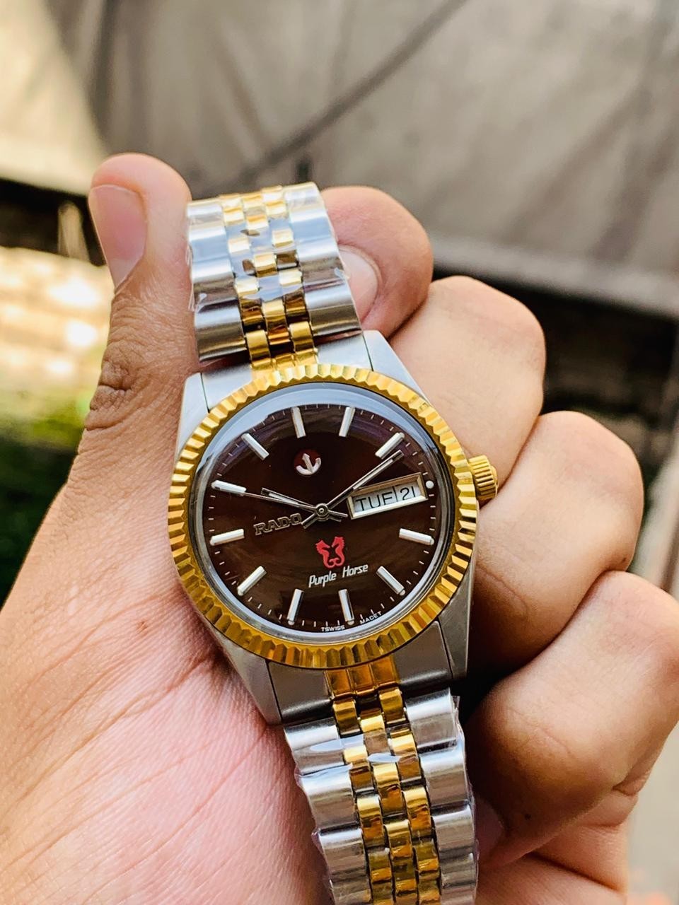 Rado Purple Horse Brown Dial Two Tone Automatic Men's Watch