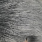 Bild 12 von 12