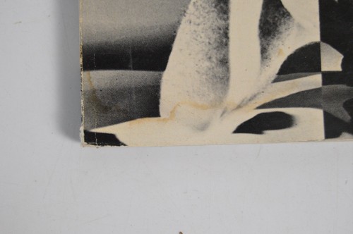 Vintage The Naked Image Roy Dean Book First Edition 1973 *Damage - Picture 4 of 14