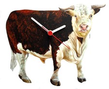 Bull Clock - Angus Bull - Bulls - Bull Farming - Angus Bulls -  OF19-C