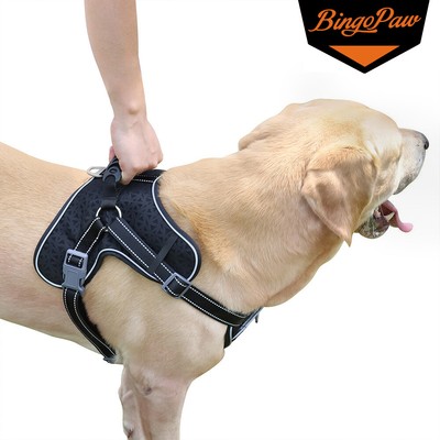 no choke no pull dog harness