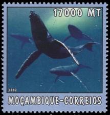 MOZAMBIQUE 1652a - Humpback Whale (pb40397)