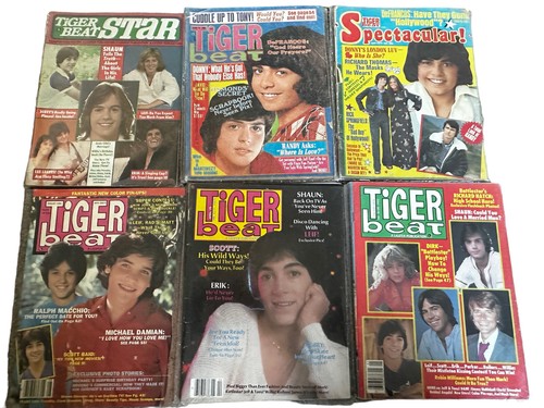Vintage 70s Teen Magazines Rona Barrett Tiger Beat Hollywood Gossip Pop Culture - Picture 3 of 7