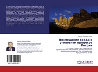 Alexej Iwanowich Zorin | Vozmeschenie Wreda W Ugolownom Processe Rossii | Buch