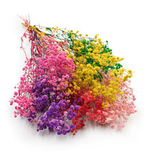 Stabilisiertes Schleierkraut (Gypsophila) - K&ouml;niglicher Blumenstrau&szlig;