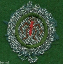 GIRL SCOUT BADGE - SILVER GREEN - FRESH WATER LIFE FINDER - ESTATE LIQUIDATION 