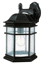 Dolan Designs 9235-68 Barlow 1 Light 13 inch Winchester Exterior Wall Lantern
