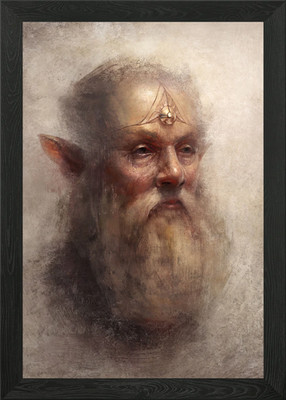High elf senator in a traditional p Framed Wall Art Poster Canvas Print Picture