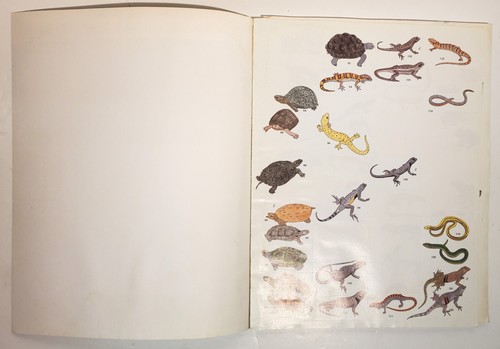 Reptiles and Amphibians - Peterson Field Guide Color-In Sticker Book 1985 HTF - Picture 4 of 17