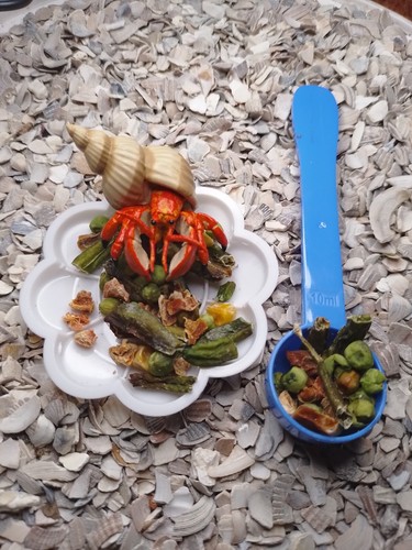FREE pack of Hermit Crab Cuisine food with all orders. read below - Picture 15 of 19