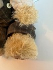 Bild 12 von 15