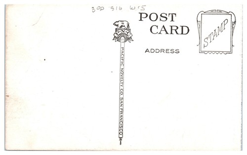RPPC San Lorenzo Canon Road To Big Tree Grove Santa Cruz, CA UNP DB Postcard - Picture 2 of 2
