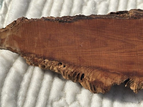Wood Spirit Carving Tree Wizard Log Face Forest Gnome Sculpture Signed Date 14” - Picture 7 of 23