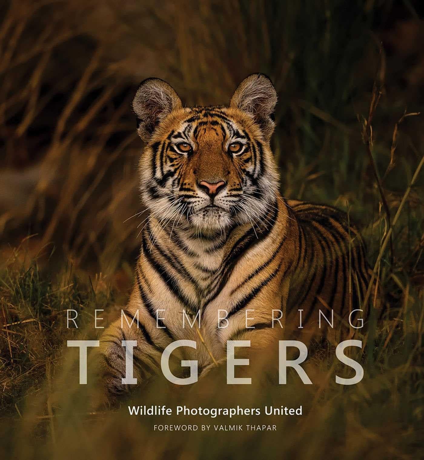 Remembering Tigers HARDBACK 9781999643386 - Image 4