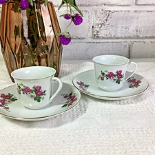 Vintage Small Demitasse Porcelain Rose Tea Cup and Saucer Set of 2