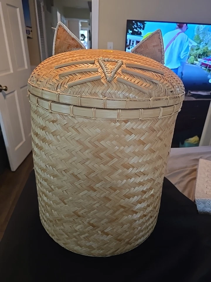 Cesta Pottery Barn Cat 25 pulgadas por 16 pulgadas Foto 2 de 2