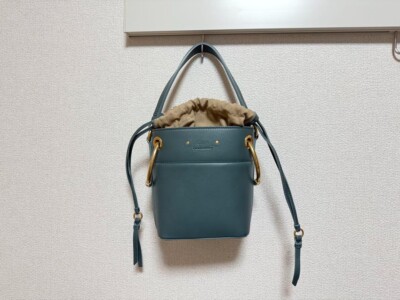 Chloe Roy Mini Bucket Bag Handbag Gold Metal Fittings Leather