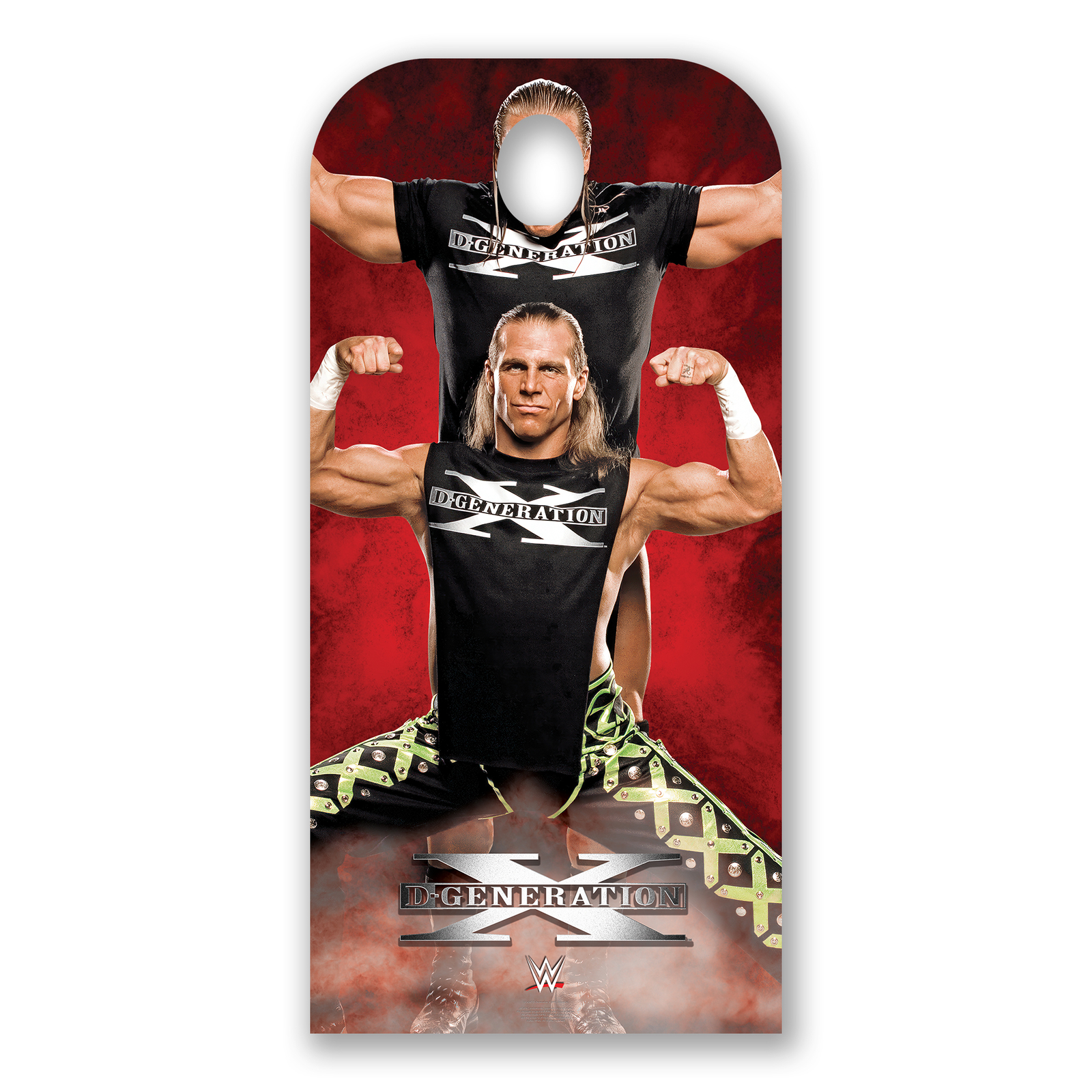D-Generation X WWE Stand-In Cardboard Stand in Official Standee - Photo fun